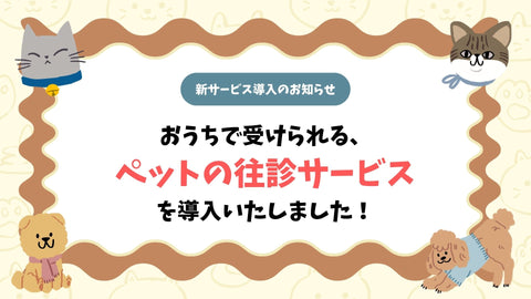 【新サービス】おうちで受けられる、ペットの往診サービスが始まりました!